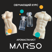 Обучающий курс "Аромастилист MARSO"